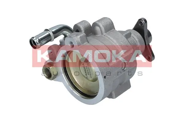 Hydraulic Pump, steering PP173