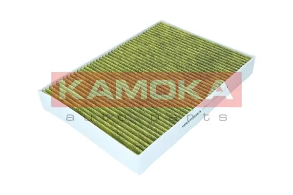 Filter, cabin air 6080077