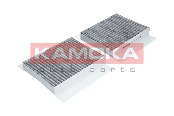 Filter, cabin air F502501