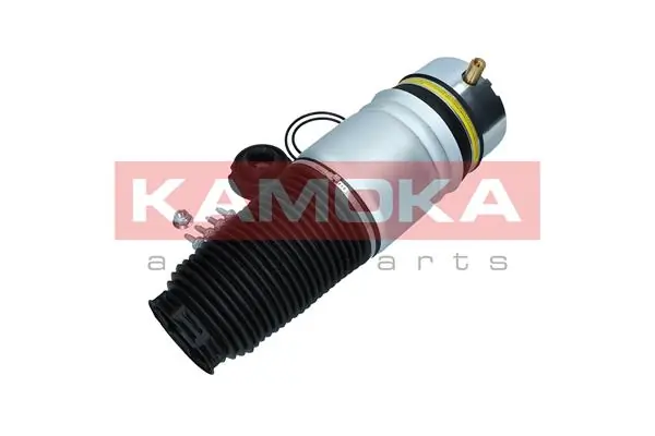 Air Spring, suspension 2079009