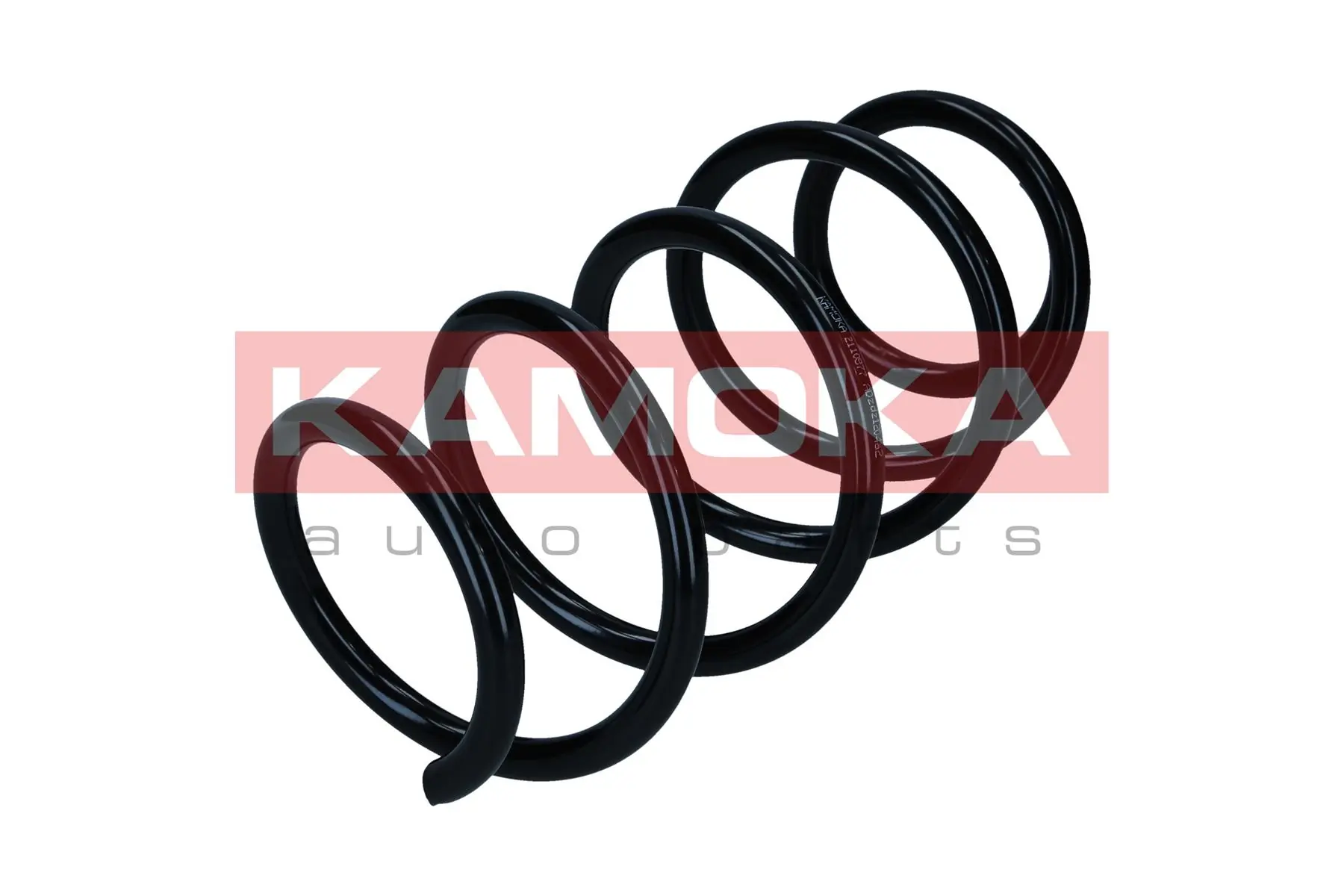 Suspension Spring 2120025