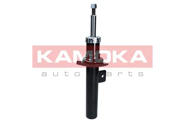 Shock Absorber 2001049