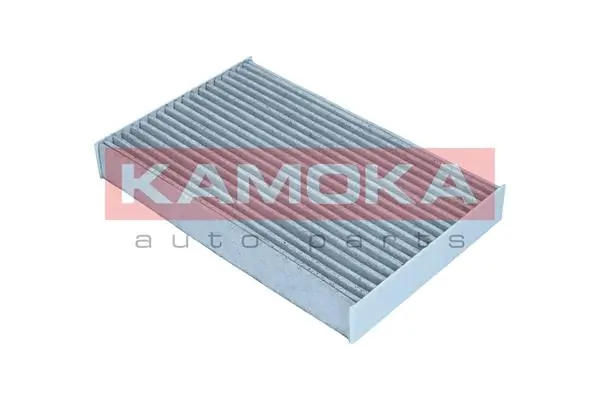 Filter, cabin air F511801