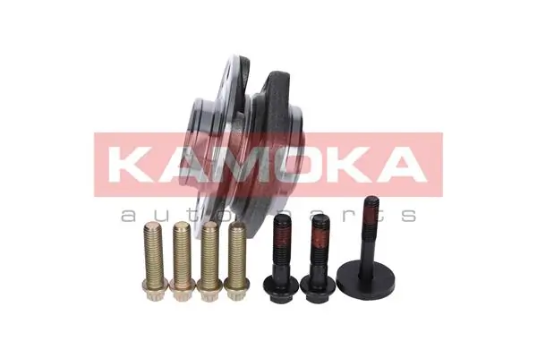 Wheel Bearing Kit 5500067