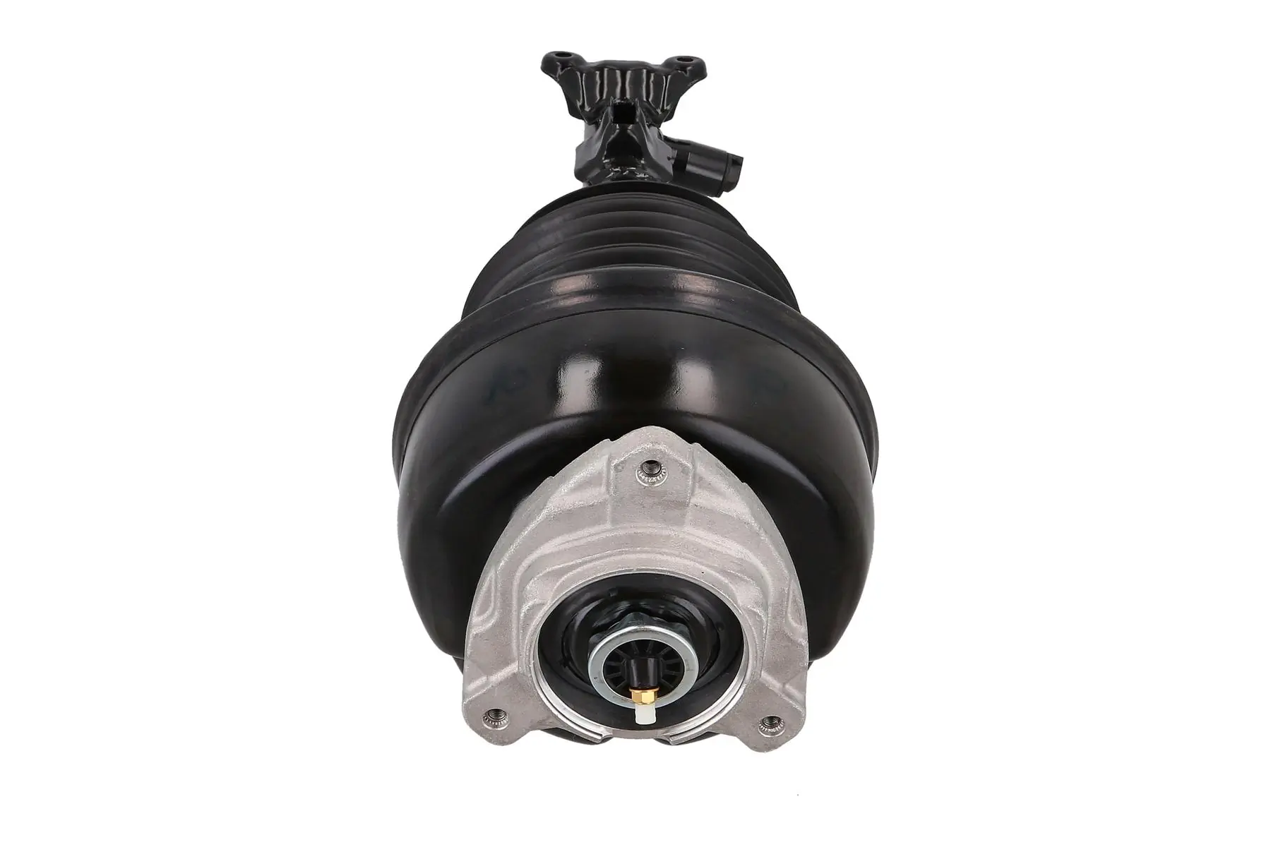 Air Suspension Strut 2070044