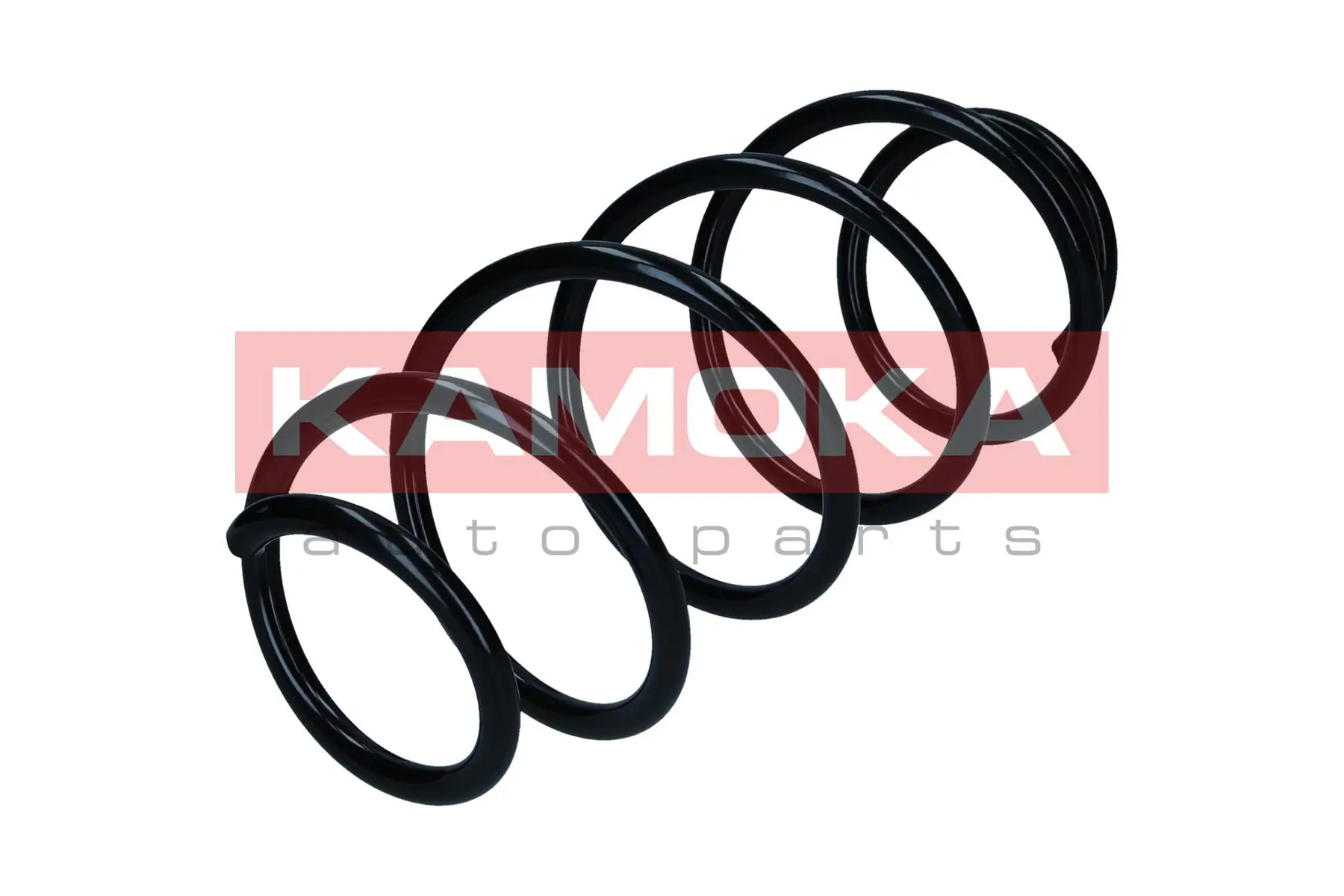 Suspension Spring 2110455