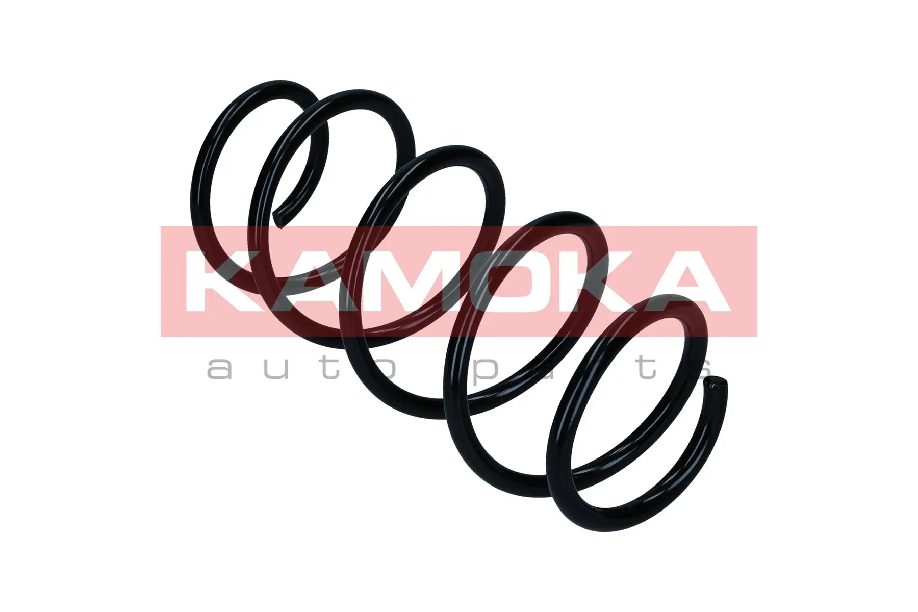 Suspension Spring 2110635