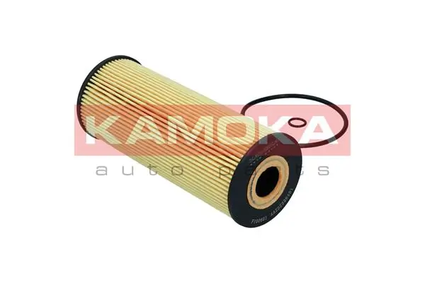 Oil Filter F100601