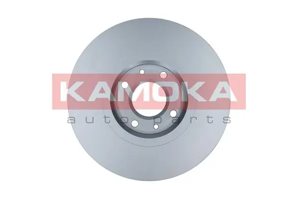 Brake Disc 103261