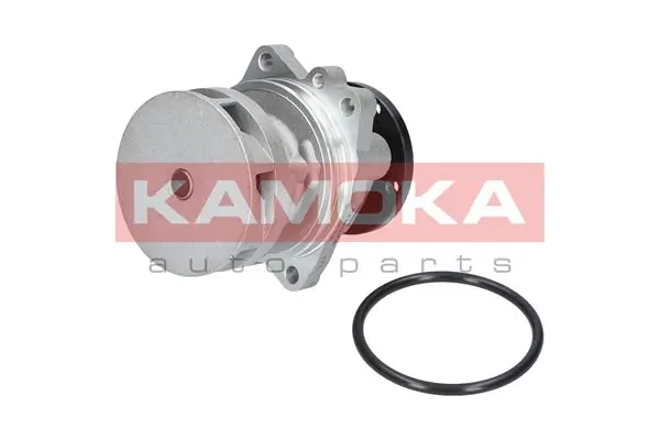 Water Pump, engine cooling T0059