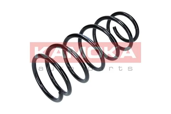 Spring Ampaian 2110040