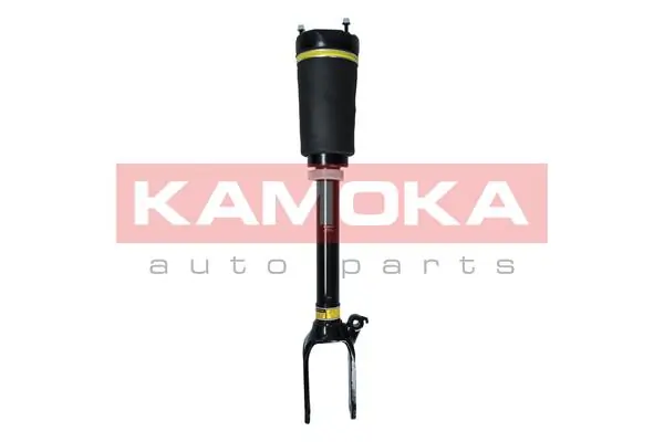 Air Suspension Strut 2070016