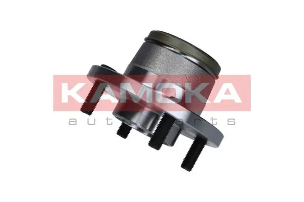 Wheel Bearing Kit 5500135