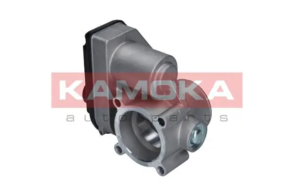 Throttle Body 112024