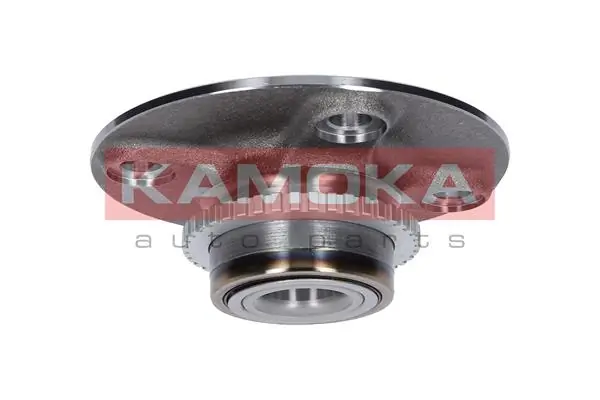KAMOKA 5500010 Wheel Bearing Kit