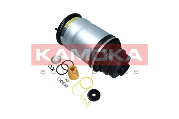Air Spring, suspension 2079030