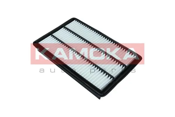 Air Filter F249801