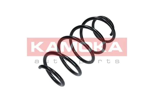 Suspension Spring 2110327