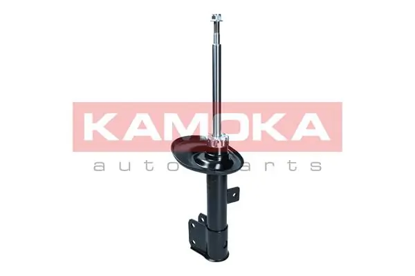 Shock Absorber 2000499