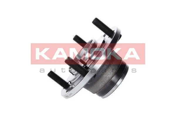 Wheel Bearing Kit 5500039