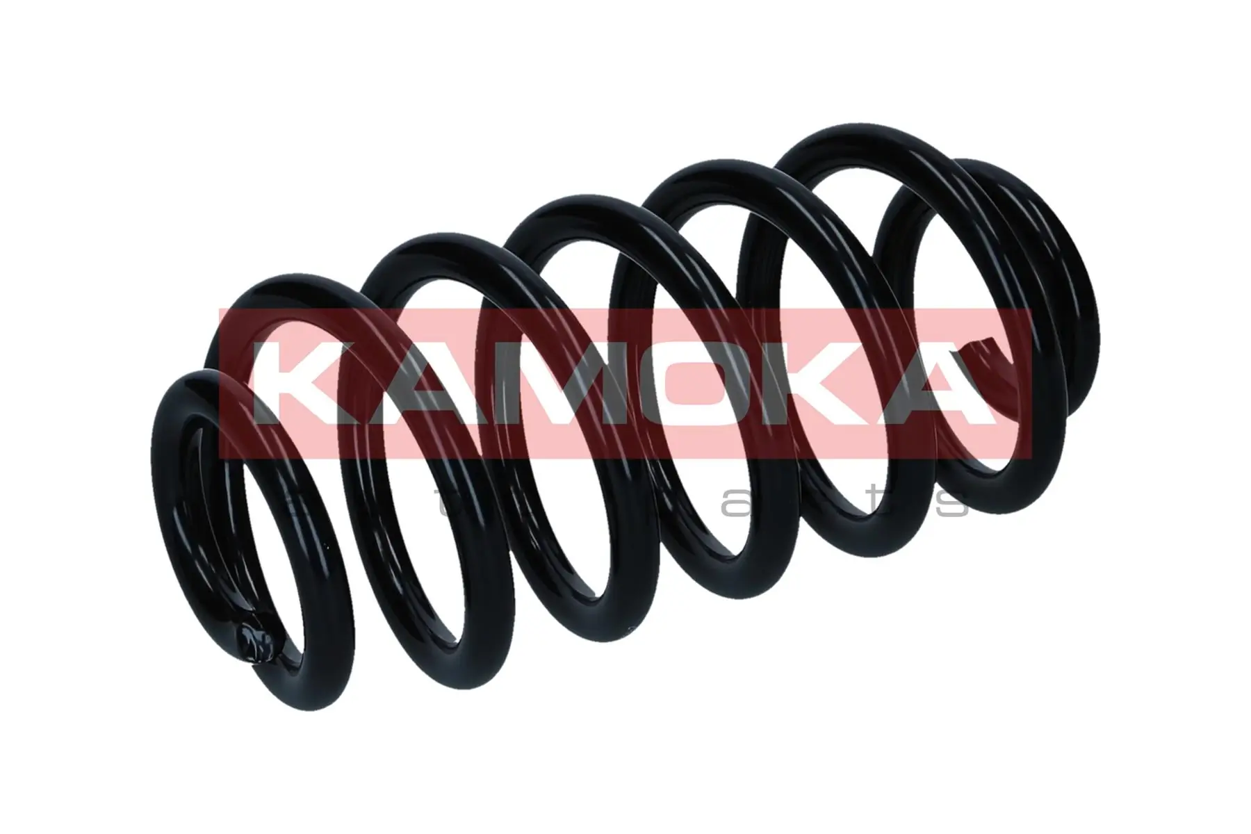 Suspension Spring 2120561