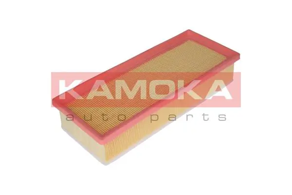 Air Filter F229801