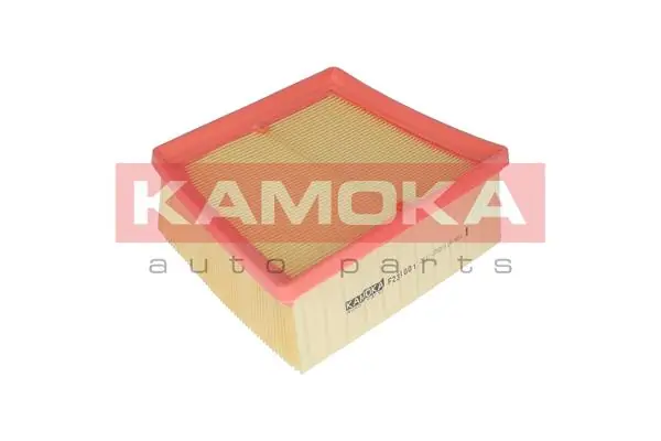 Air Filter F231001
