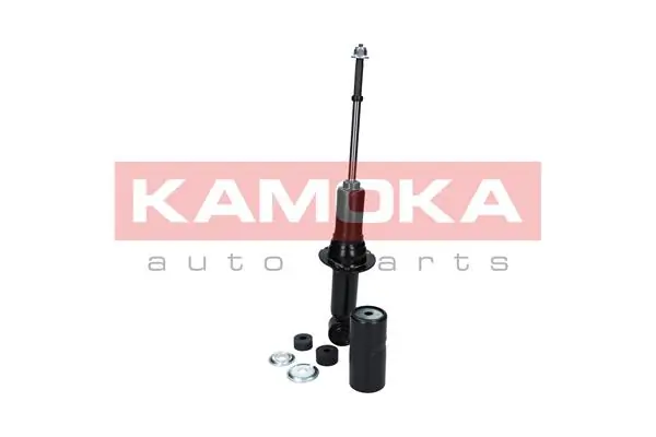 Shock Absorber 2000093