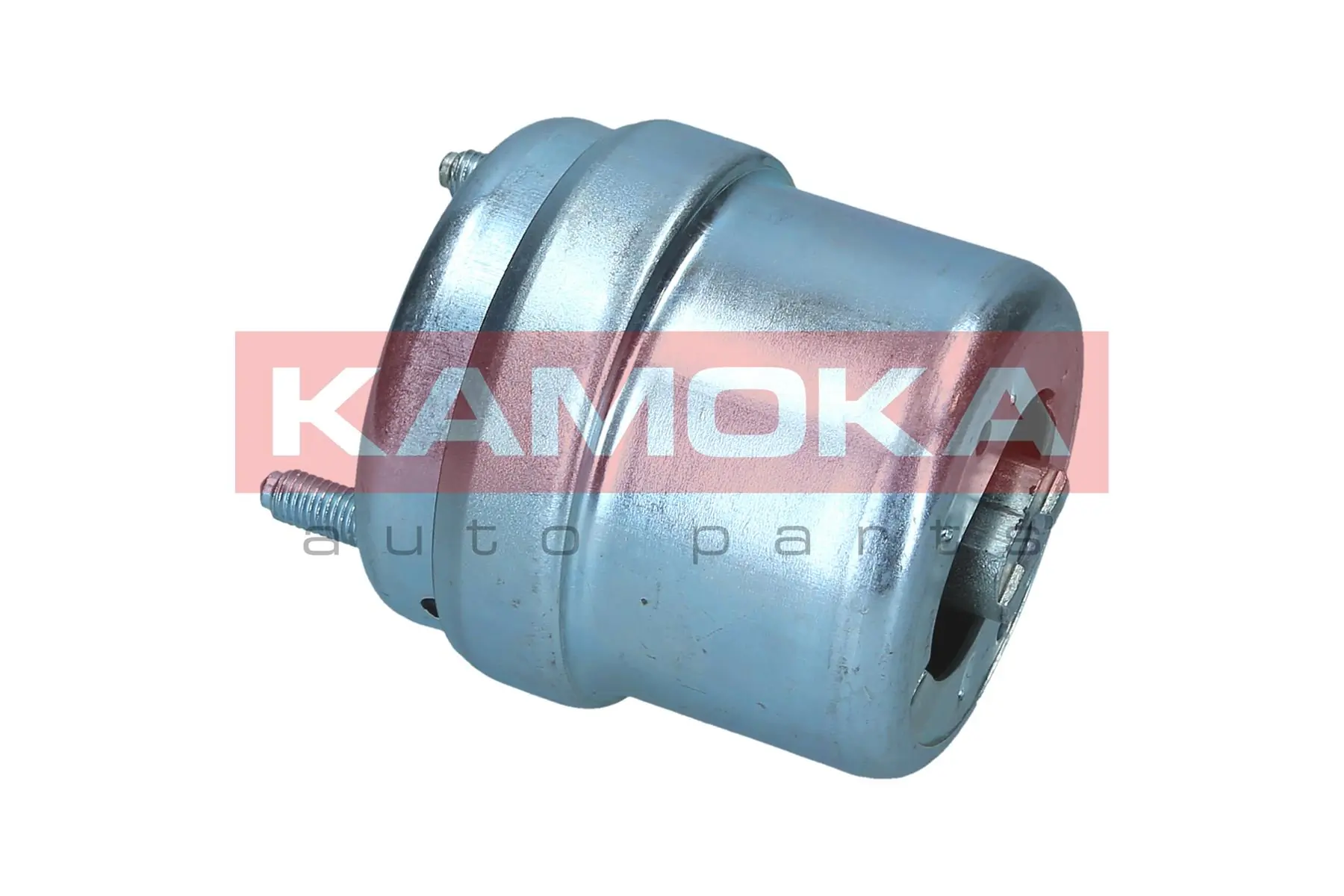 Mounting, engine 890225