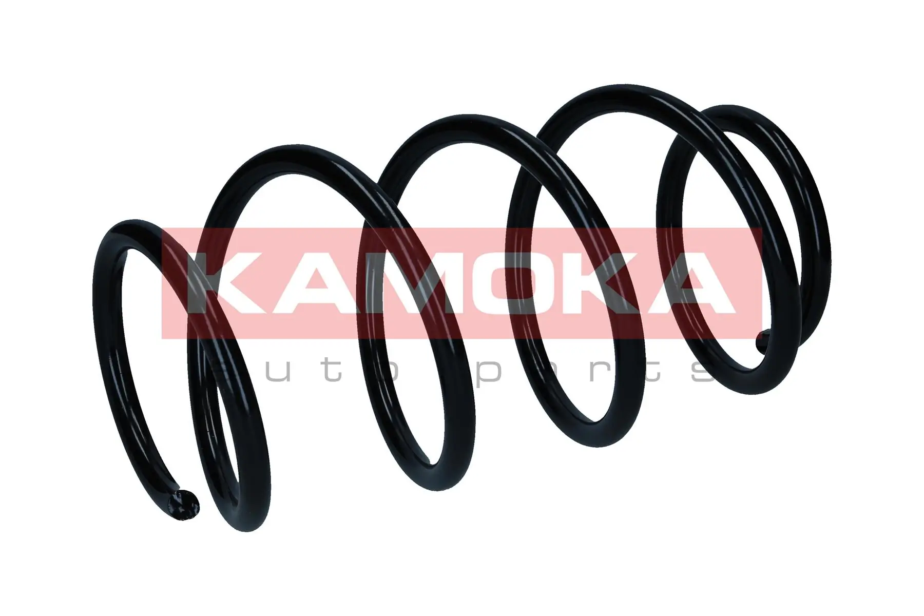 Suspension Spring 2110658