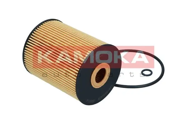 Oil Filter F129501