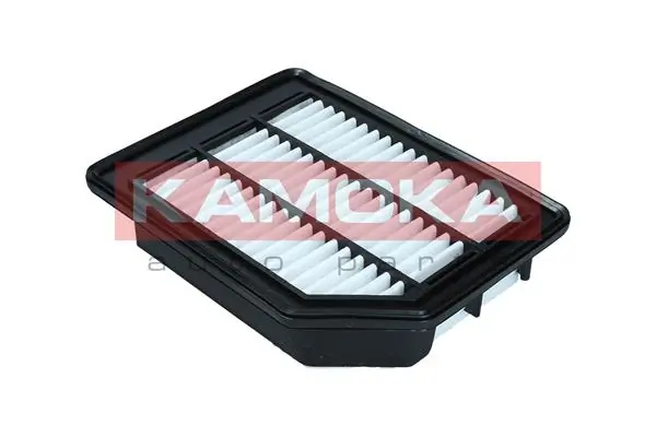 Air Filter F253101