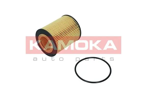 Oil Filter F120001