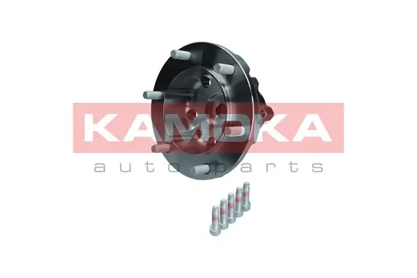 Wheel Bearing Kit 5500255