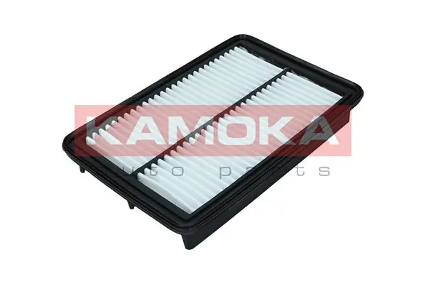 Air Filter F246301