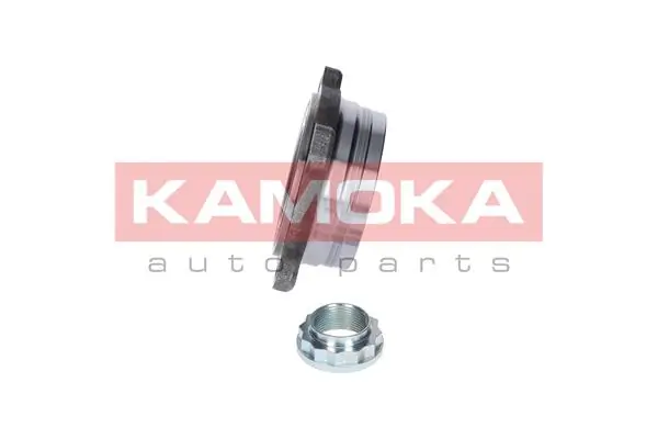 Wheel Bearing Kit 5500052