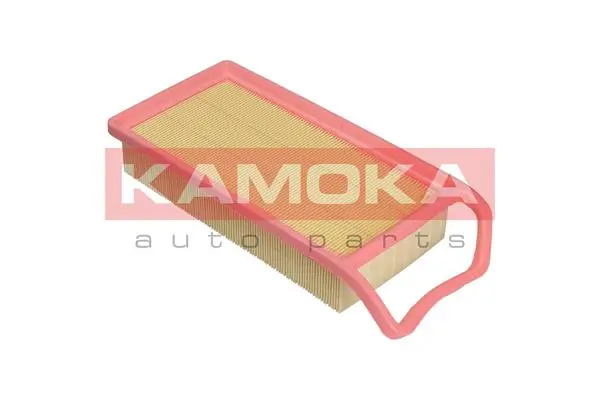 Air Filter F223701