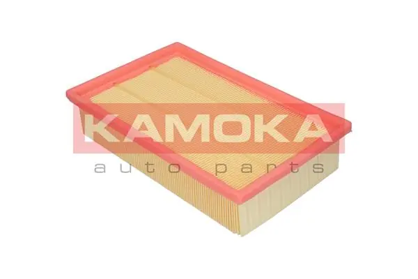 Air Filter F204801