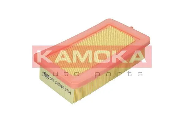Air Filter F249201