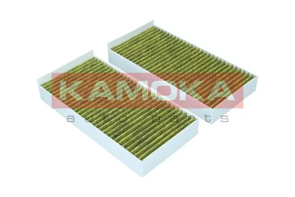 Filter, cabin air 6080116