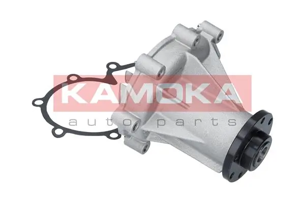 Water Pump, engine cooling T0184