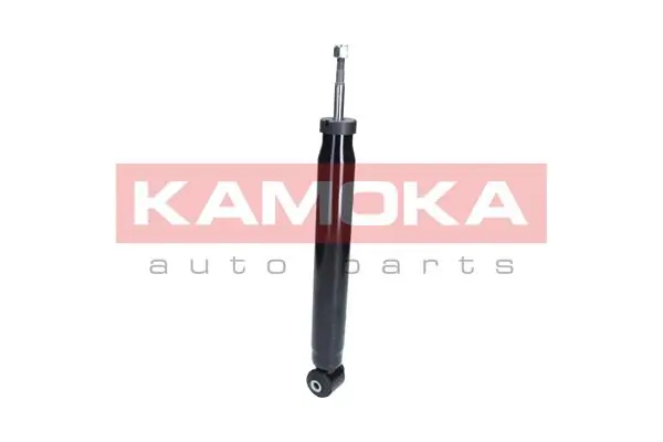 Shock Absorber 2000976