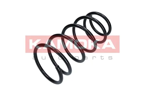 Suspension Spring 2110048