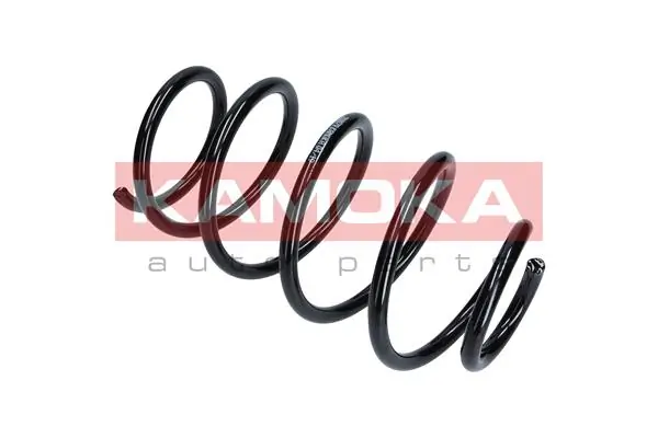 Suspension Spring 2110079