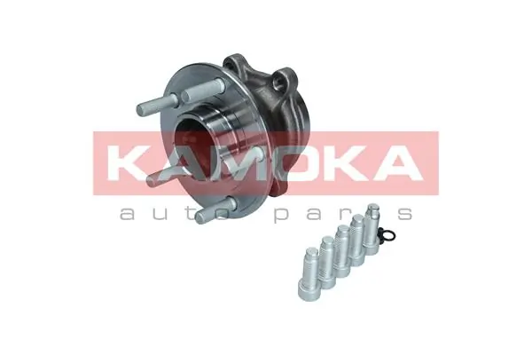Wheel Bearing Kit 5500242