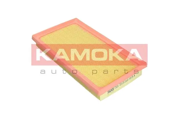 Air Filter F253001
