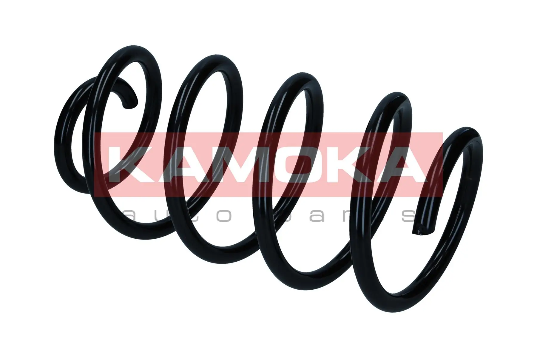 Suspension Spring 2110825