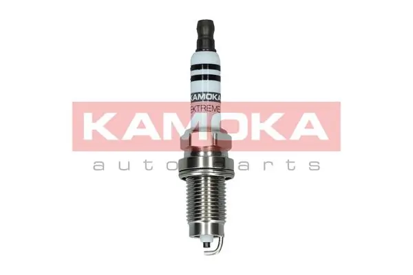 Spark Plug 7090541