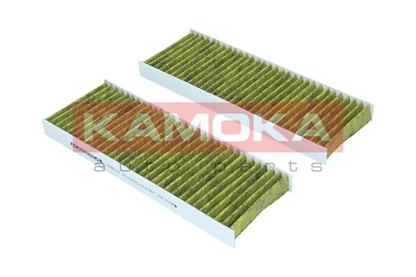 Filter, cabin air 6080123