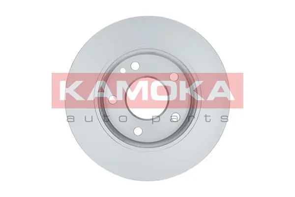 Brake Disc 1032070